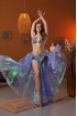 Professional bellydance costume (classic 423 a-available)